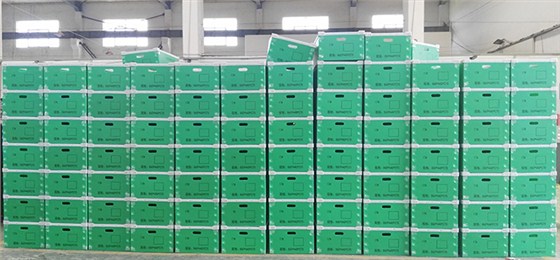 中空板周轉(zhuǎn)箱3 (2)