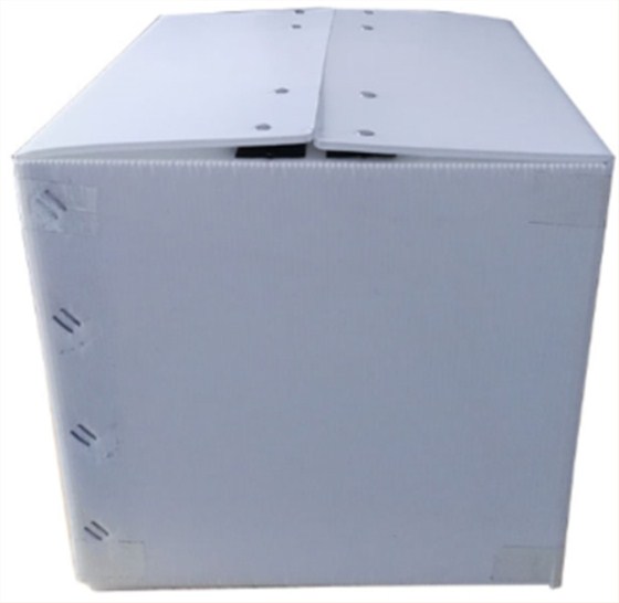 白色鈣塑板周轉(zhuǎn)箱