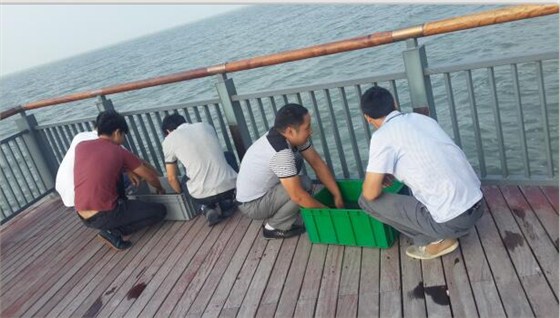 塑料周轉(zhuǎn)箱廠家放生圖2