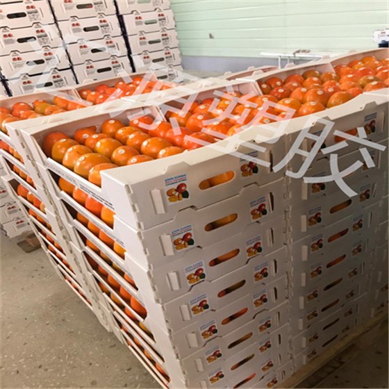 微信圖片_202109161537026