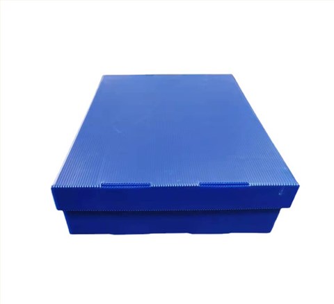 醫(yī)藥玻璃安瓿瓶盒