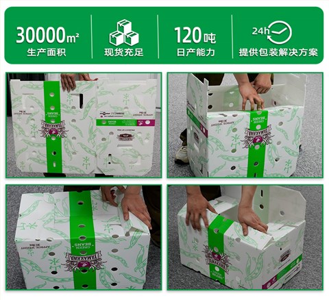 白色紙箱式中空板周轉(zhuǎn)箱