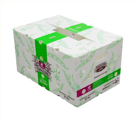 白色紙箱式中空板周轉(zhuǎn)箱