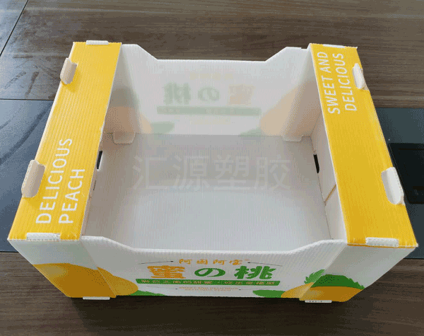 中空板周轉(zhuǎn)箱