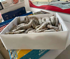 可循環(huán)快遞中空板箱質(zhì)量好不好？-匯源塑膠guangde8.com