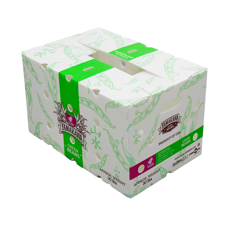 白色紙箱式中空板周轉(zhuǎn)箱